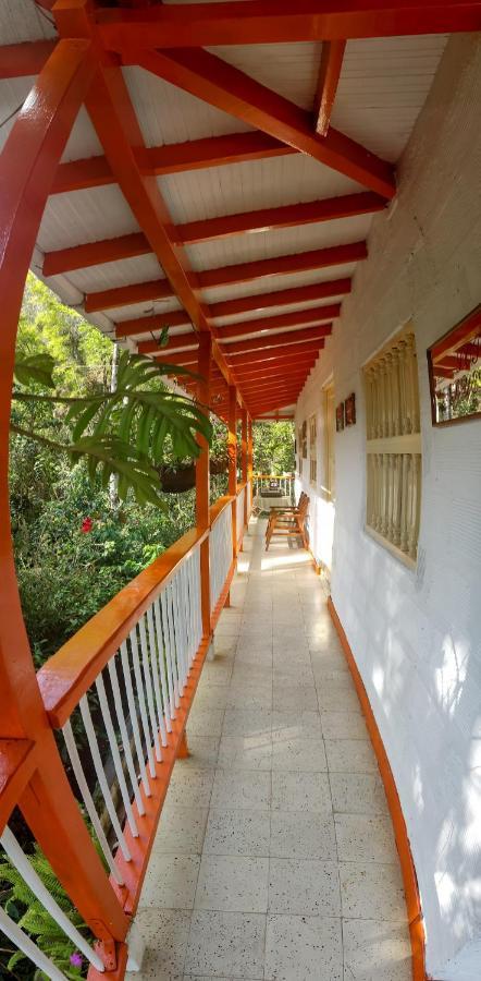 Finca Los Abuelos - La Planta Concepcion Luaran gambar