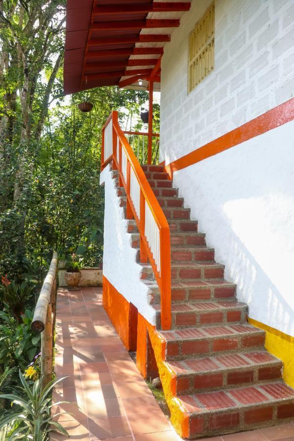 Finca Los Abuelos - La Planta Concepcion Luaran gambar