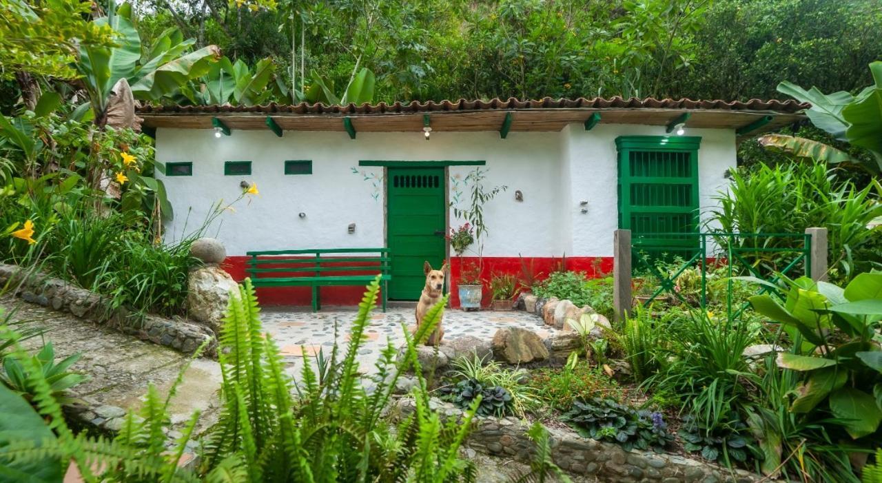 Finca Los Abuelos - La Planta Concepcion Luaran gambar